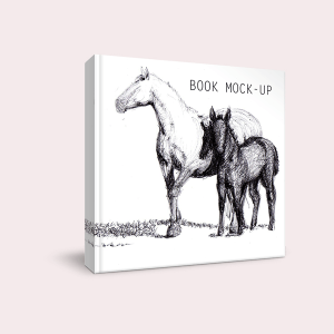 Book mock - up