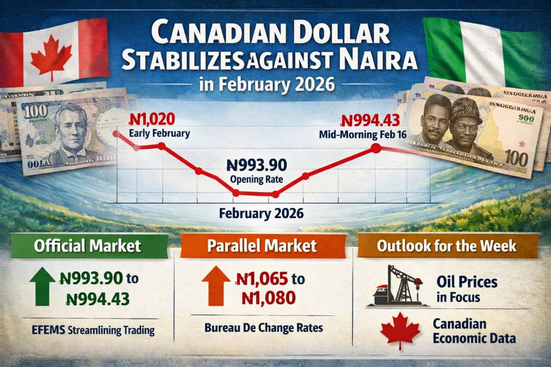 Canadian Dollar Shows Stability Against Naira in February 2026