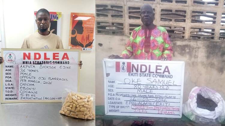 NDLEA Intercepts Cocaine Hidden in Dry Fish, Arrests Drug Kingpin in Lagos