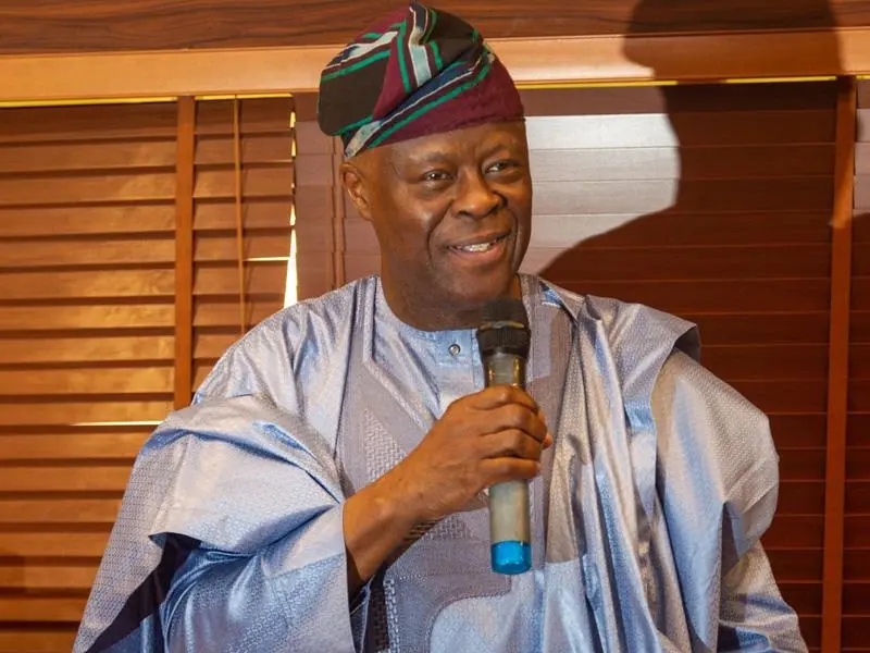 Wale Edun, Dangiwa Resign as Tinubu Appoints Taiwo Oyedele Finance Minister
