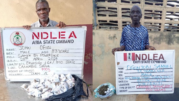 NDLEA Arrests Multiple Suspects, Seizes Drugs Across Nigerian States