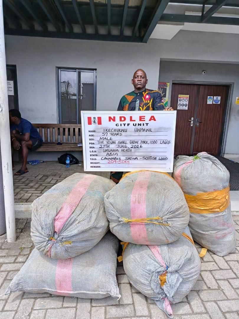 NDLEA Intercepts China-Bound Businesswoman with 7.5kg Cocaine, Seizes N12.3bn Cannabis at Lagos Port