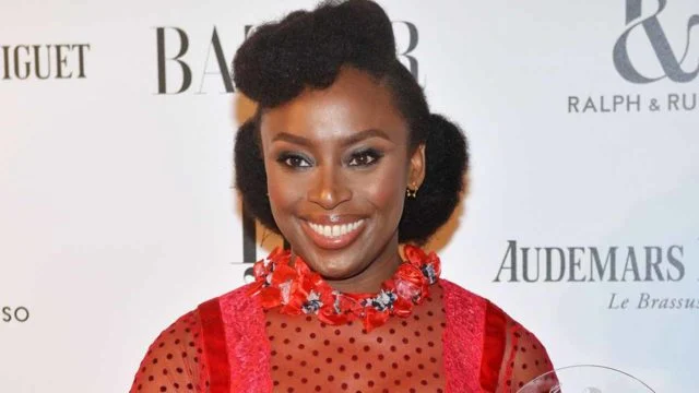 Chimamanda Adichie Accuses Euracare of Cover-Up in Son’s Death
