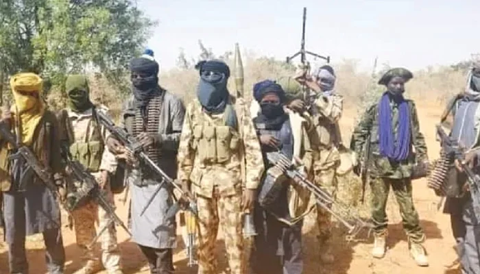 Bandits Kill Nine Farmers, Abduct Several in Fresh Kaduna Attack
