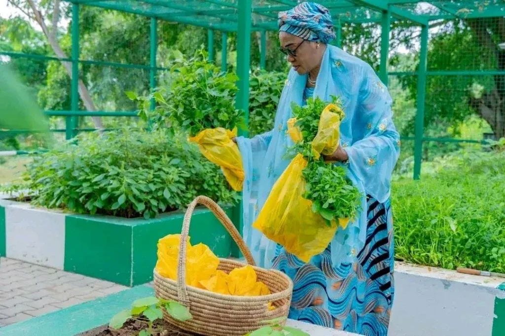First Lady Oluremi Tinubu Harvests Fresh Vegetables from State House Garden, Promotes Home Gardening