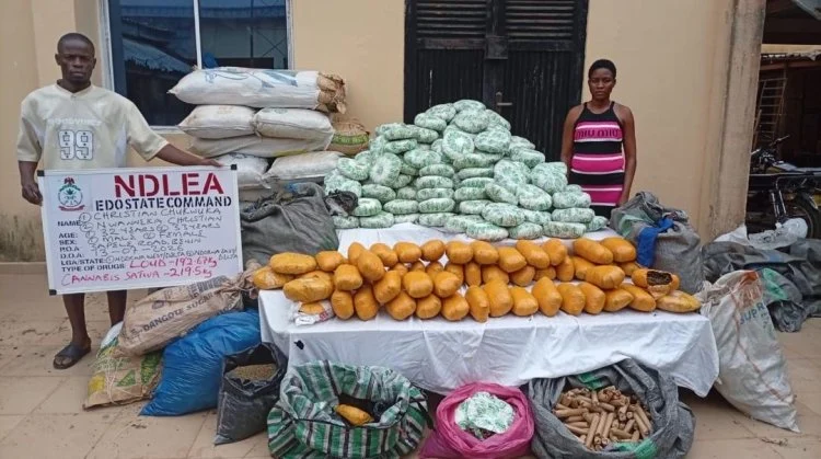 NDLEA Intercepts 1.63 Million Tramadol Pills, Arrests Transnational Drug Syndicate