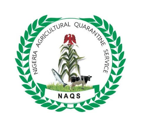 NAQS Recruitment 2026: Applicants Can Now Check Application Status