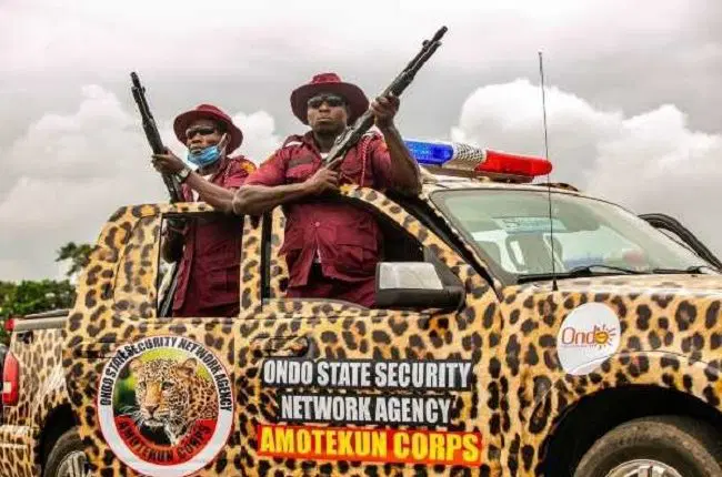 Osun Governorship Election: Police Ban Amotekun, Vigilantes from Election Security