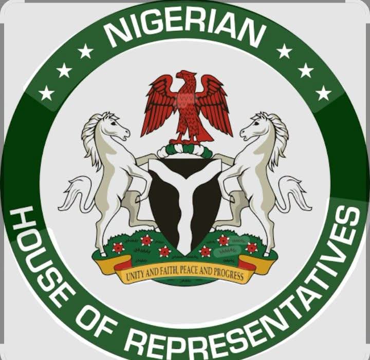 Reps Committee Uncovers 12 More Fake Agencies, 58 Bank Accounts Linked to Adeniyi Adeyemi